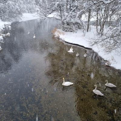 Bergen Vintermaraton 2024